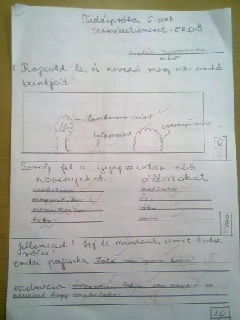 Természeti- hát azért lehetett volna jobb is.