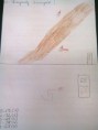 /album/felmerok-orai-munkak2/fenykep0290-jpg/
